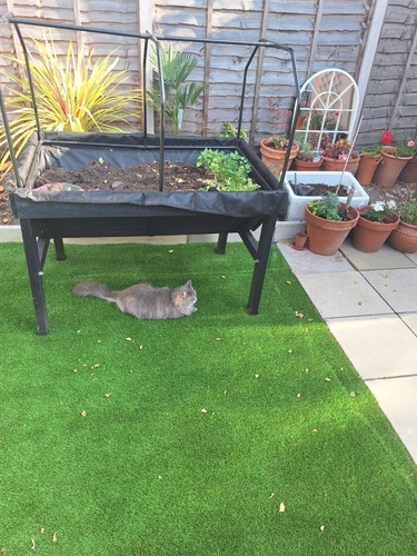 Large raised garden bed with - large,