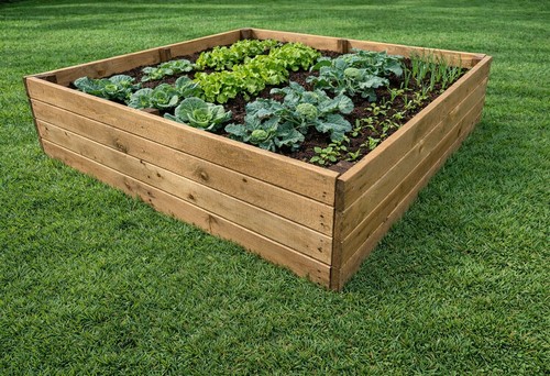 Raised wooden vegetable - raised, garden