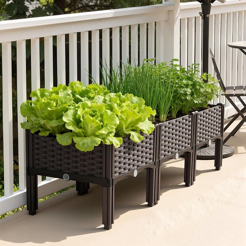 Raised beds for - raised,